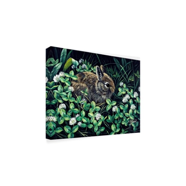 Wilhelm Goebel 'In Clover' Canvas Art,18x24